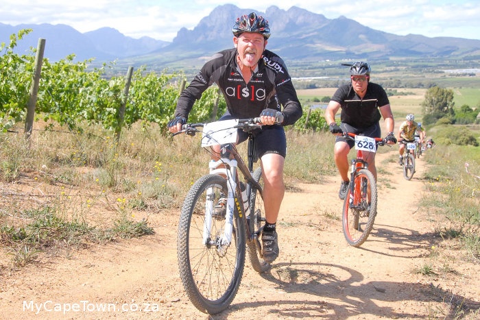 Cape Winelands
