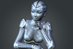 WP Robot