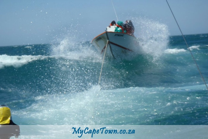 St Helena Crayfisher